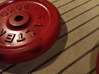 2 Discos de pesas Salter 20kg