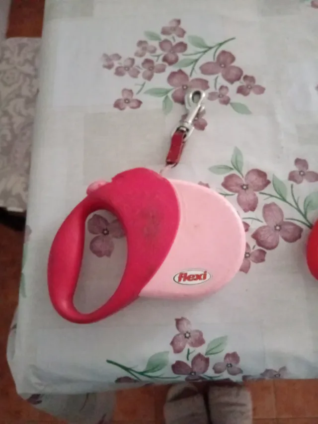 Correa Flexi para perros rosa y roja