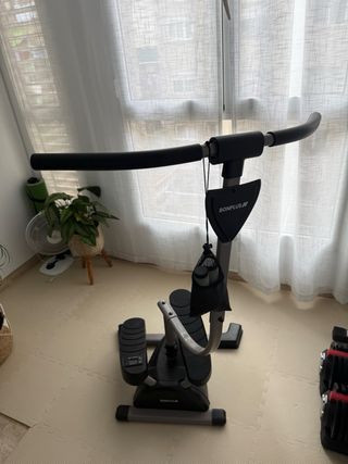 Stepper Fitness Cardio Twister