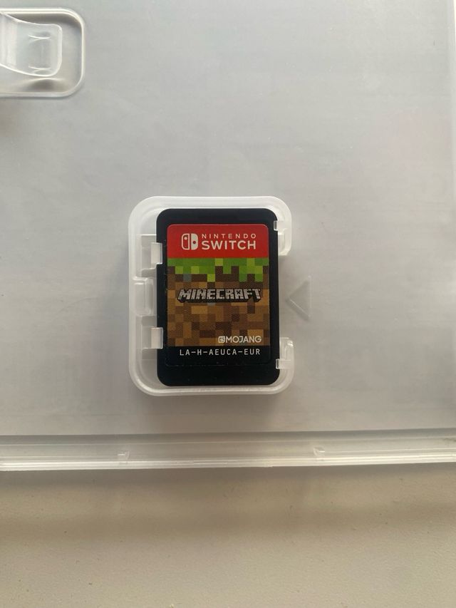 Minecraft Nintendo Switch