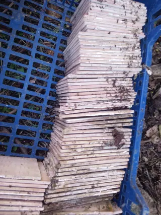 Baldosa antigua decorada azul