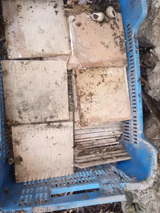 Baldosa antigua decorada azul