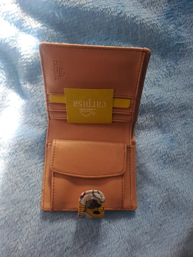 Cartera Carpisa Multicolor