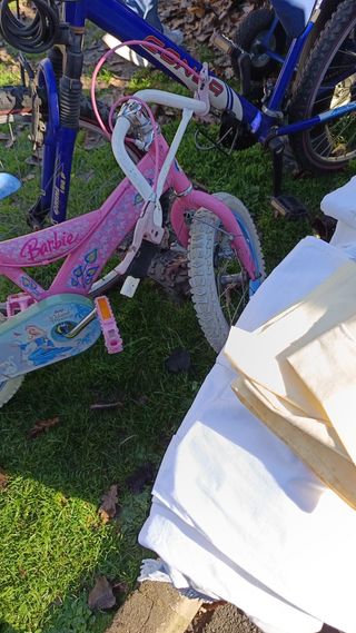 Bicicletas niña y adulto