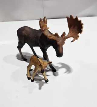 Alce Collecta y cría Safari