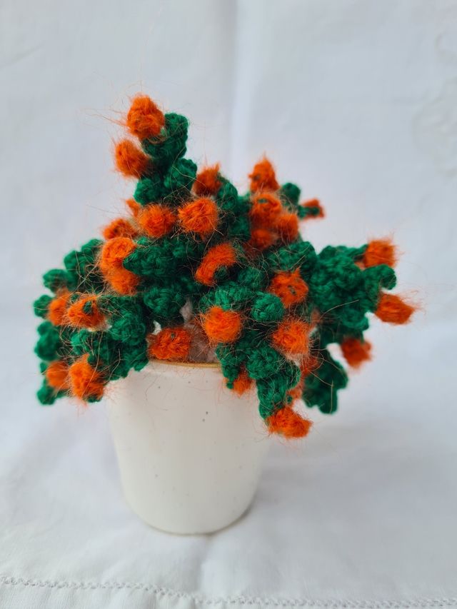 Cactus uncinetto decorativo