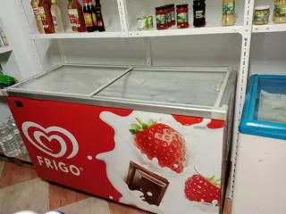 Congelador Frigo con diseño de fresa