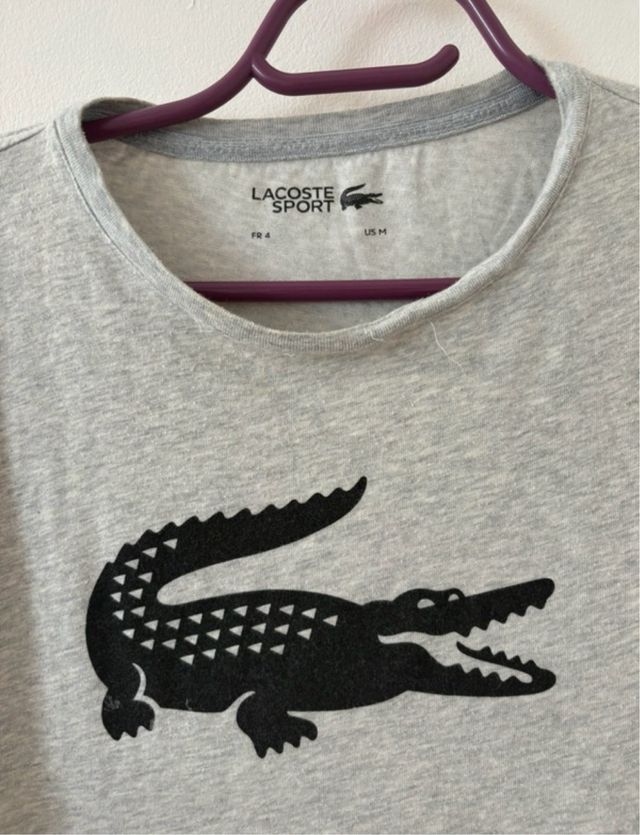 Camiseta Lacoste Talla M Cocodrilo Gris