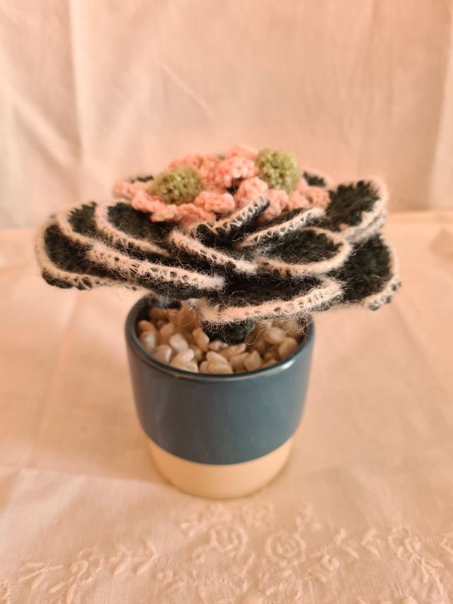 Cactus uncinetto decorativo