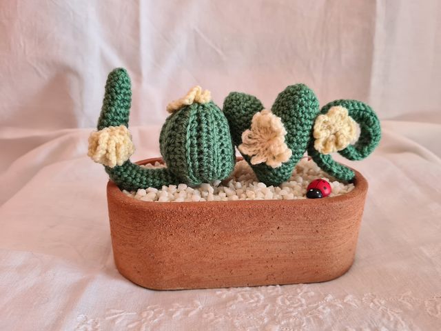 Cactus uncinetto decorativo