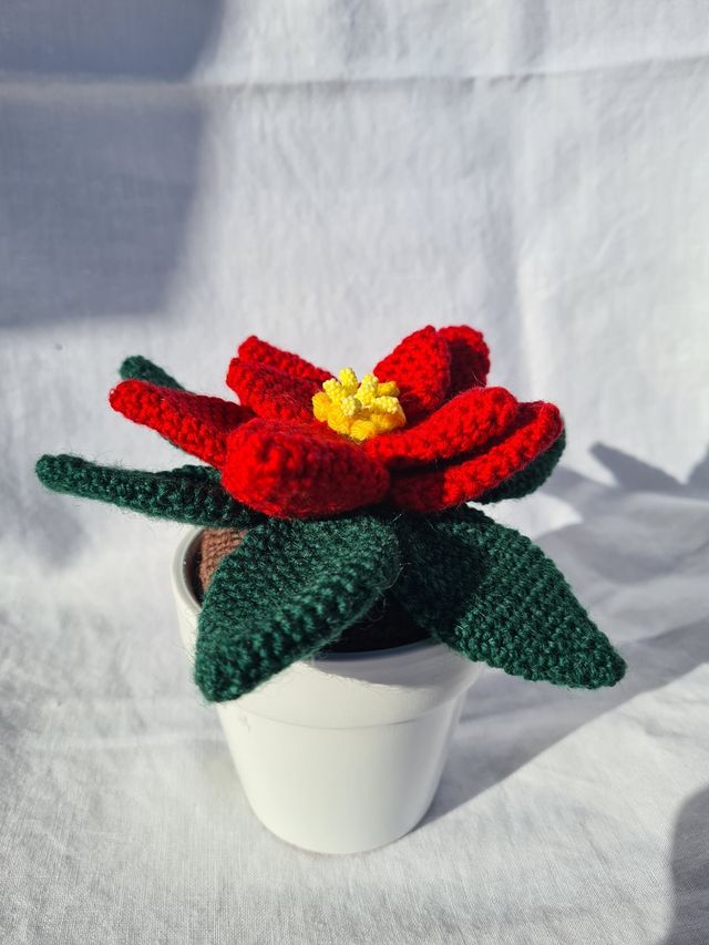 Stella di Natale uncinetto