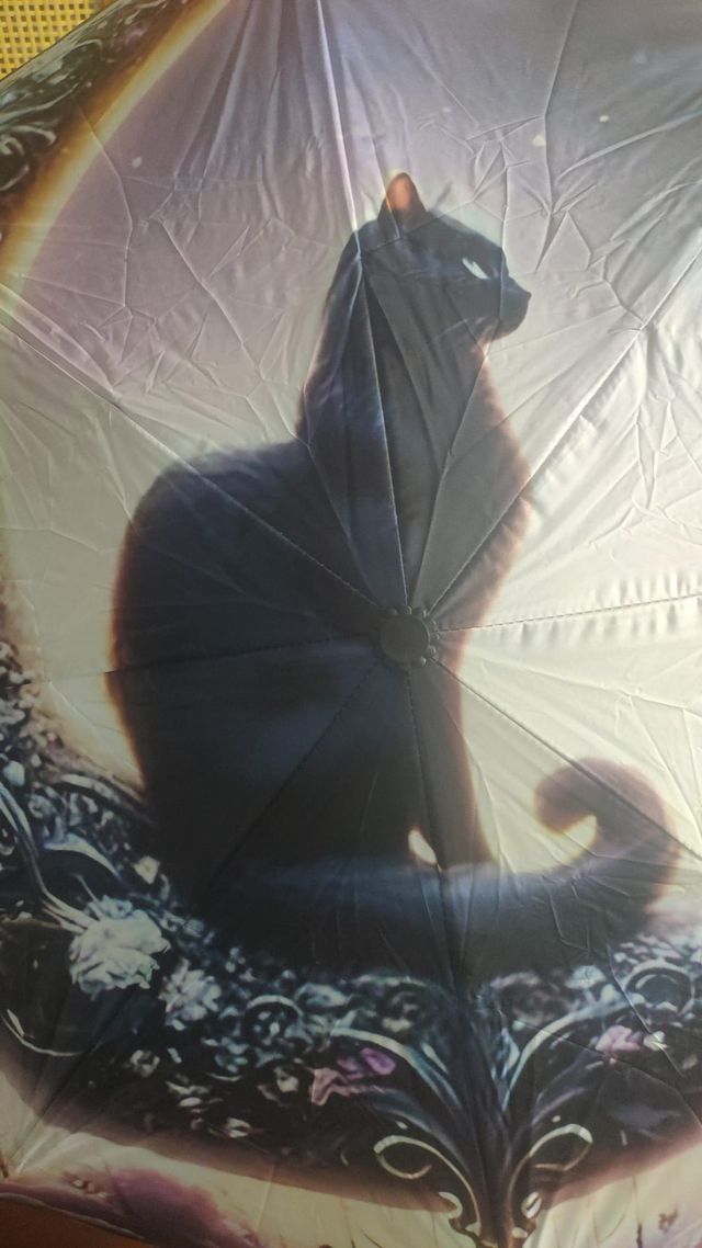 Paraguas Automático Gato Luna Nuevo
