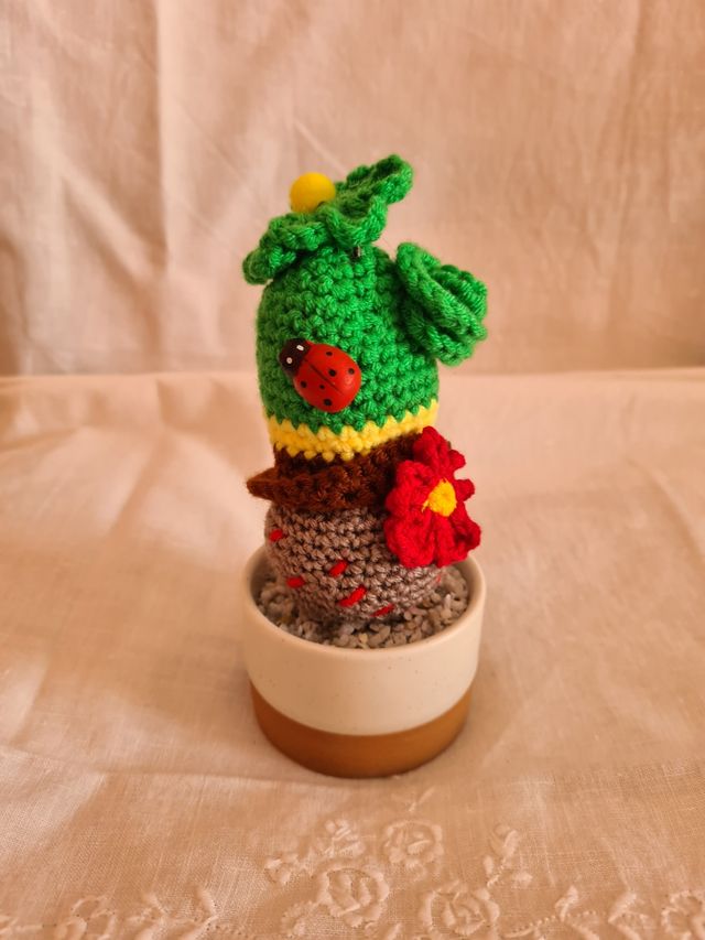 Cactus uncinetto decorato