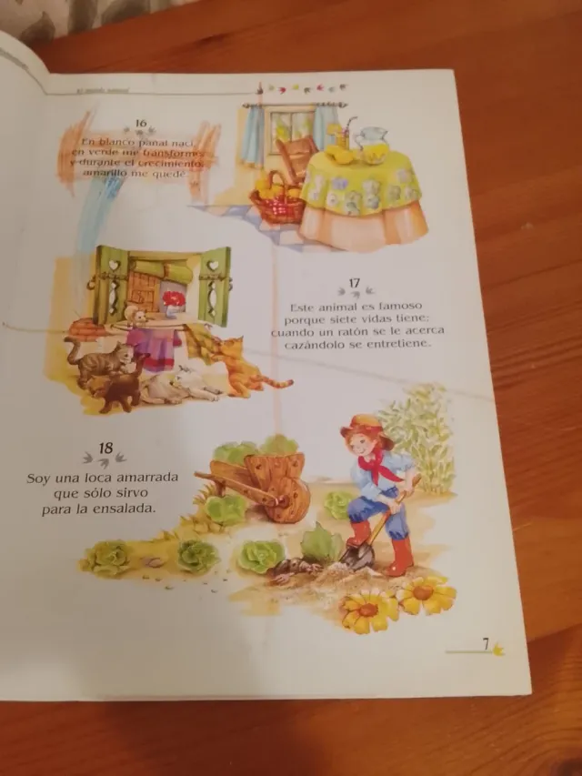 Mis 365 Mejores Adivinanzas