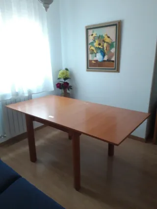 Sofá 3 plazas + mesa extensible + 4 sillas