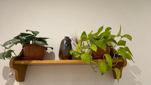 Estantería vintage de madera maciza