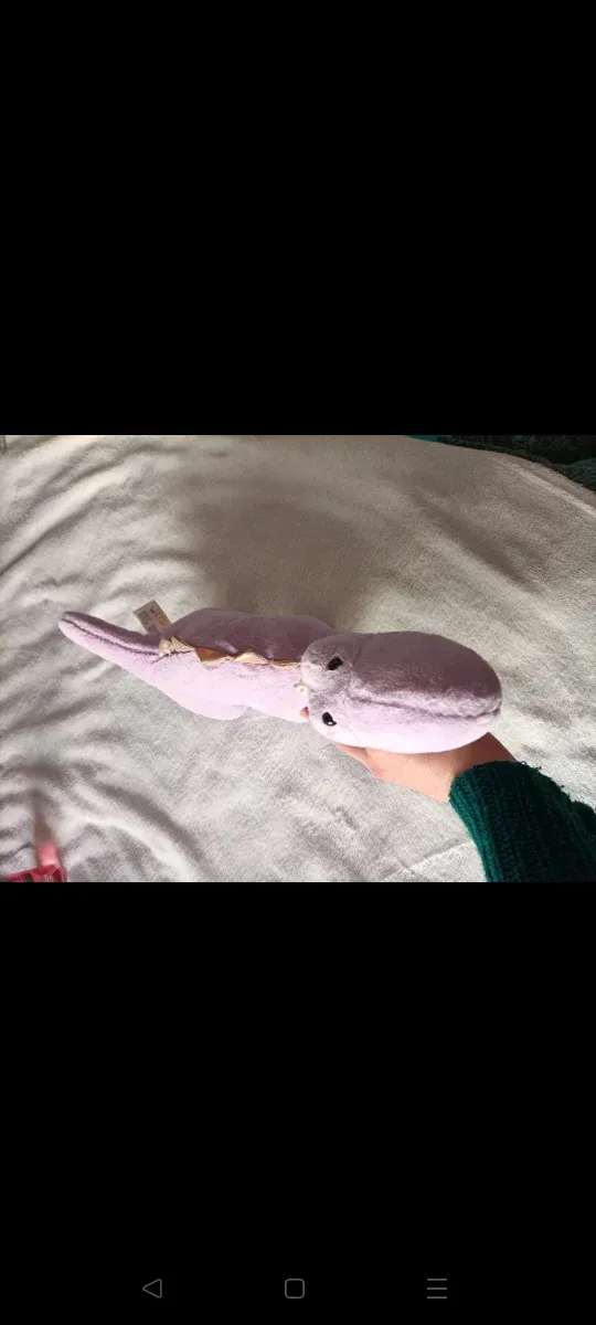 Peluche Dinosaurio Morado