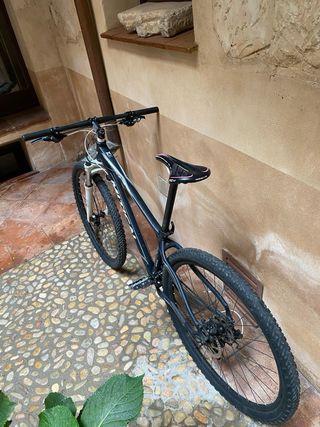 Bicicleta Mítical Integrale 29