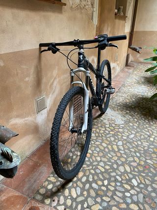 Bicicleta Mítical Integrale 29