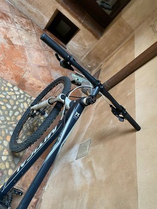 Bicicleta Mítical Integrale 29