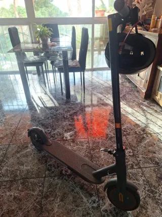 Patinete eléctrico gris