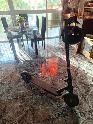 Patinete eléctrico gris