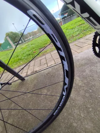 Bicicleta Carretera Berria Falcon 2.3 2019