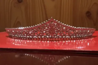 Tiara de novia plateada sin estrenar