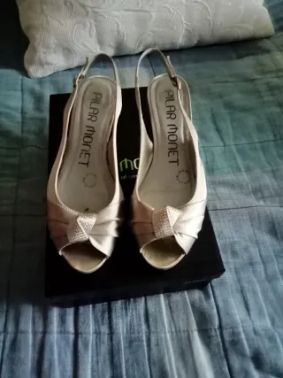 Zapatos de fiesta plateados