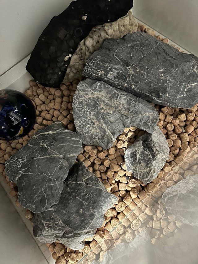 Kit Acuario Beta Óptico 40x30x30 aquascaping