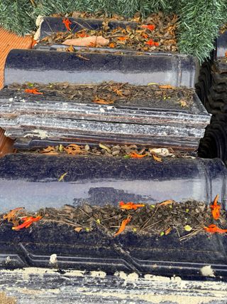 Tejas de cerámica azul