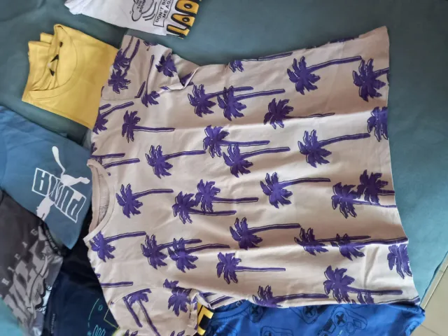 Lote 12 camisetas niño Tallas 10-12