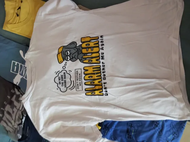 Lote 12 camisetas niño Tallas 10-12