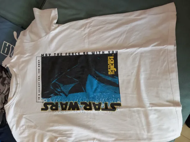 Lote 12 camisetas niño Tallas 10-12