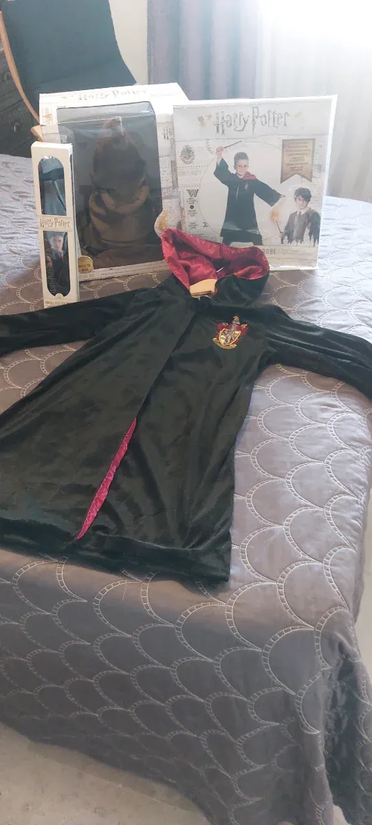 Harry Potter.Sombrero seleccionador/disfraz/varita