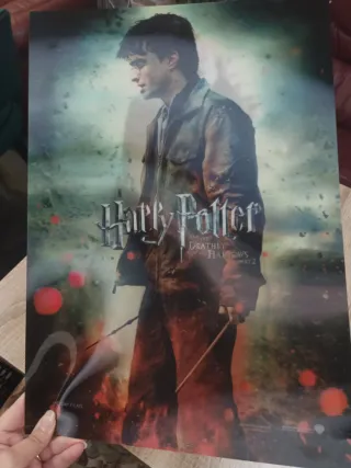 Póster Harry Potter Deathly Hallows