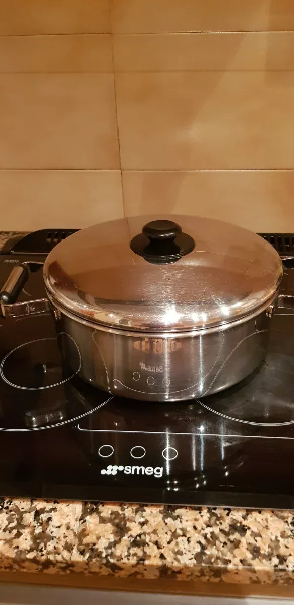 Olla cazuela grande 25 cm