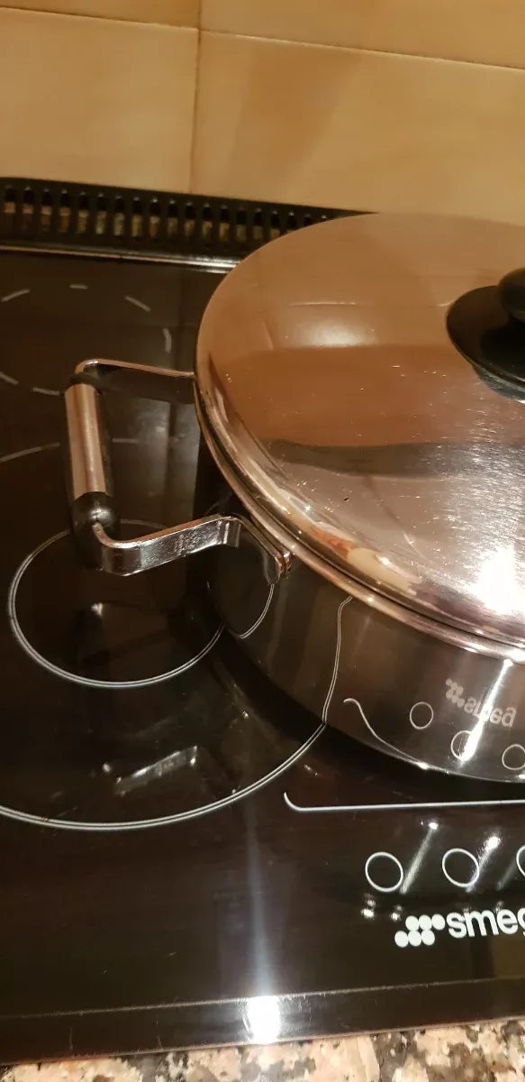 Olla cazuela grande 25 cm