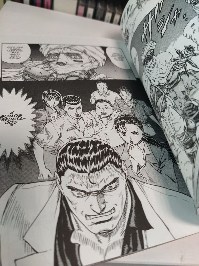 Japón (Serie Completa) 1 Tomo