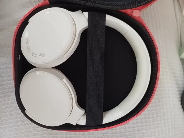 Estuches para auriculares grandes (rosa y verde)