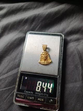 Colgante camaron Nuevo Oro 8.44g