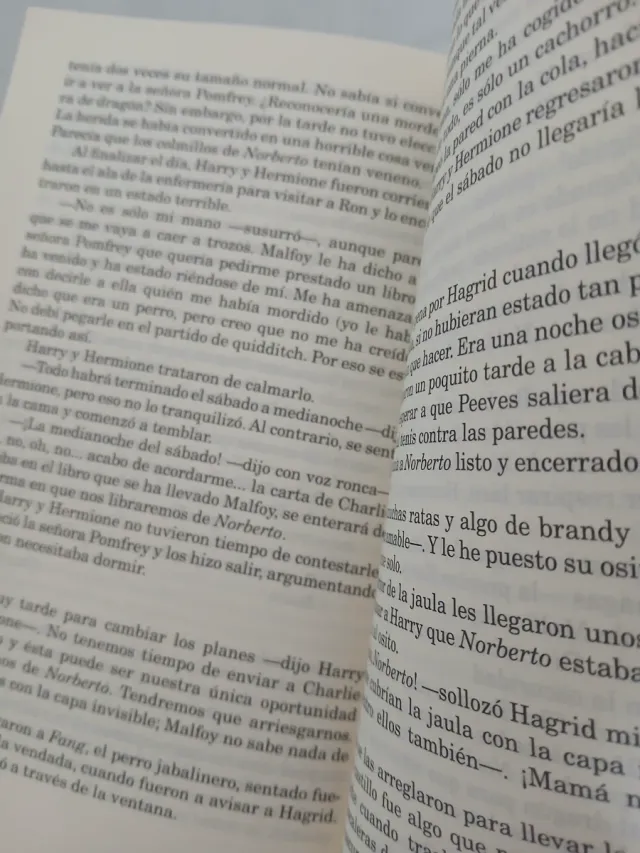 Harry Potter y la piedra filosofal