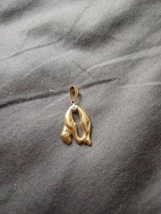 Buceador 18k Oro