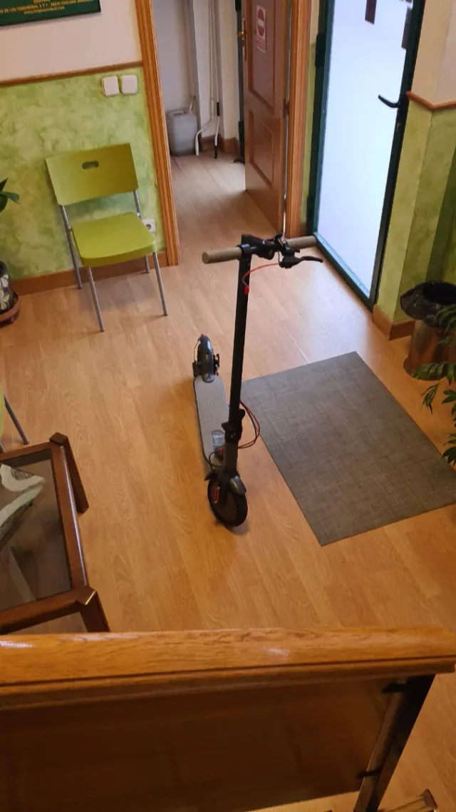 Patinete eléctrico gris