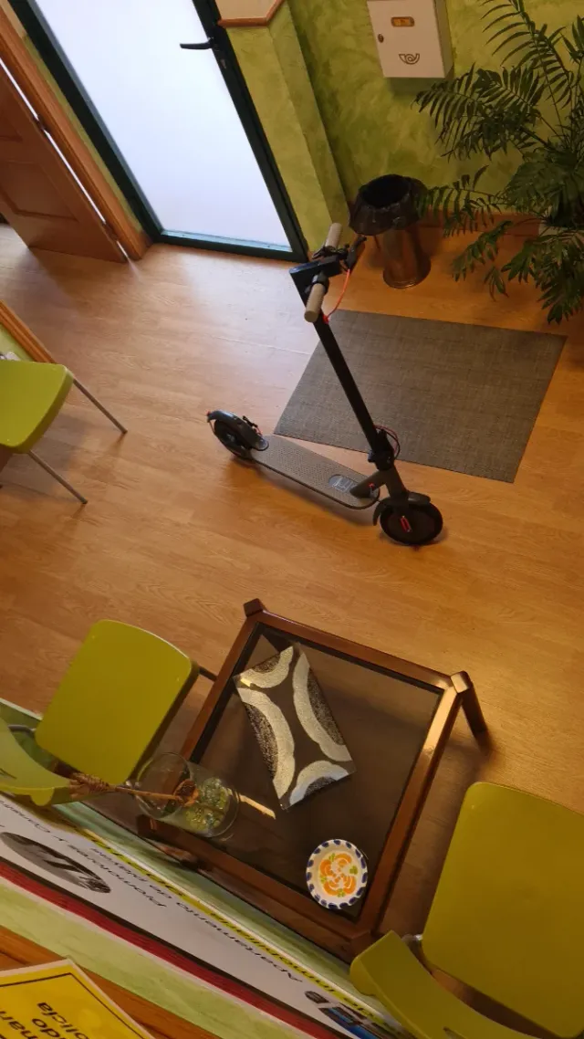 Patinete eléctrico gris