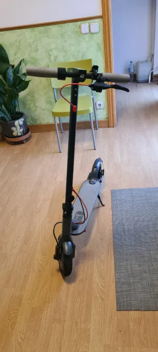 Patinete eléctrico gris