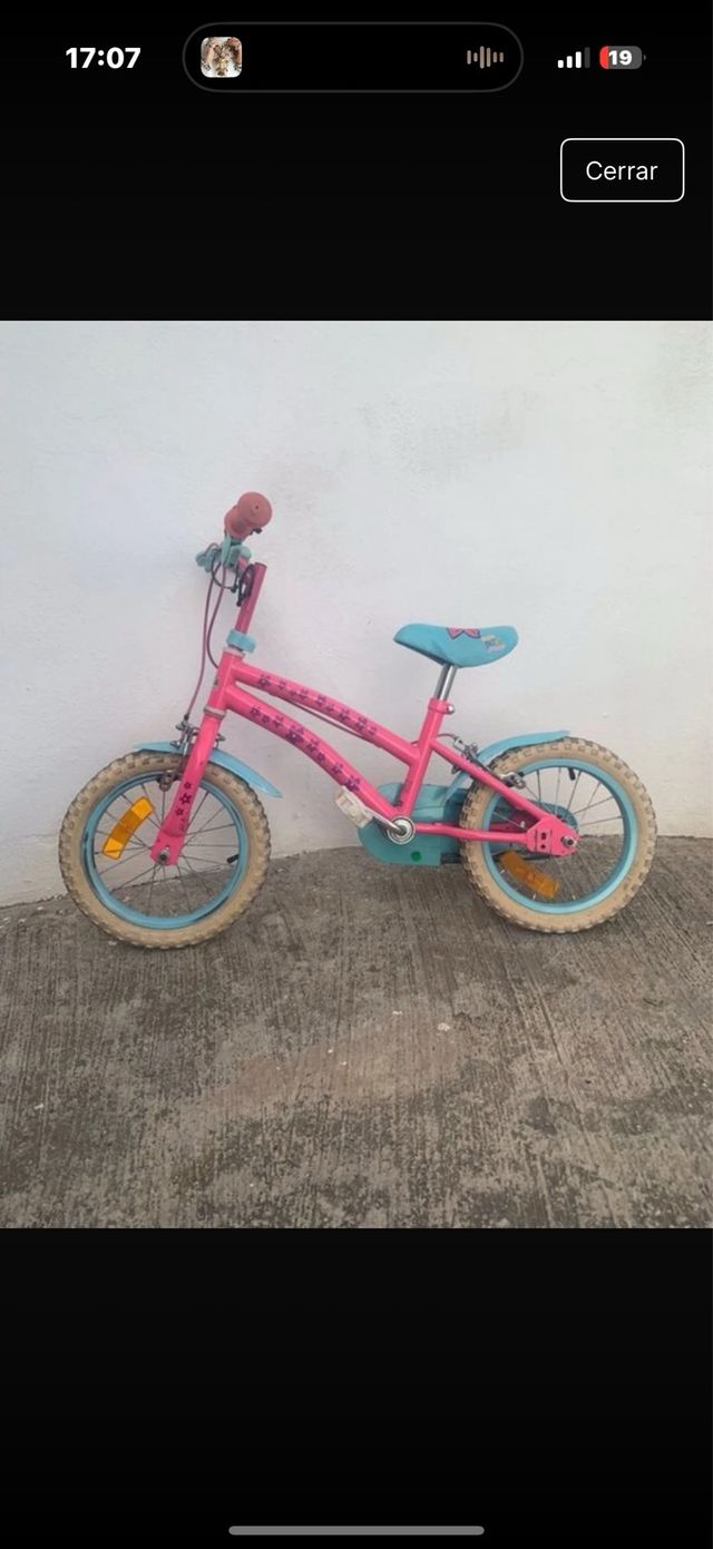 Bicicletta infantile rosa e blu
