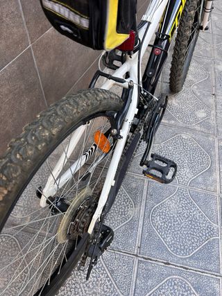 Bicicleta Coluer Infantil Niño