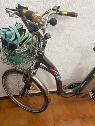 Bicicleta Eléctrica Gris