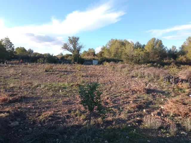 Terreno rústico en Vilamarxant